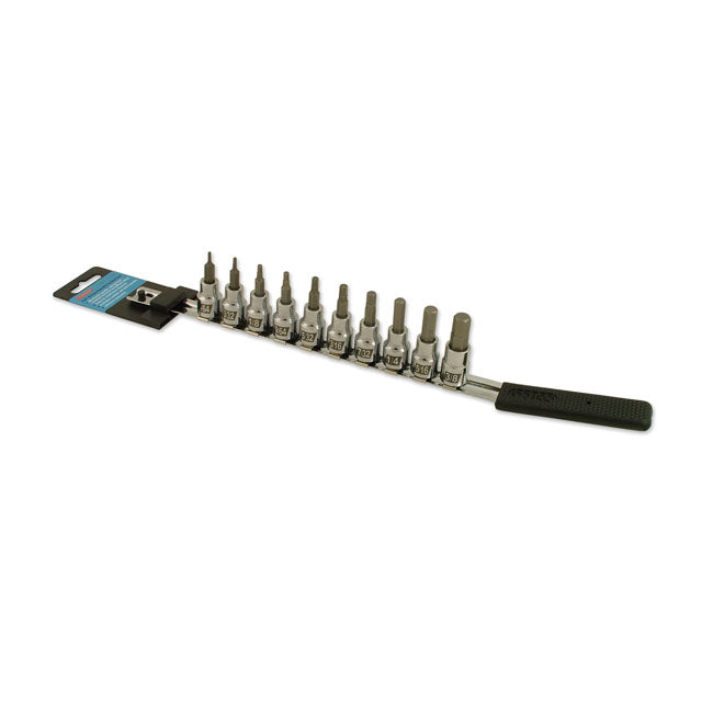 Torx-Set 3/8 Ratschenanschluss