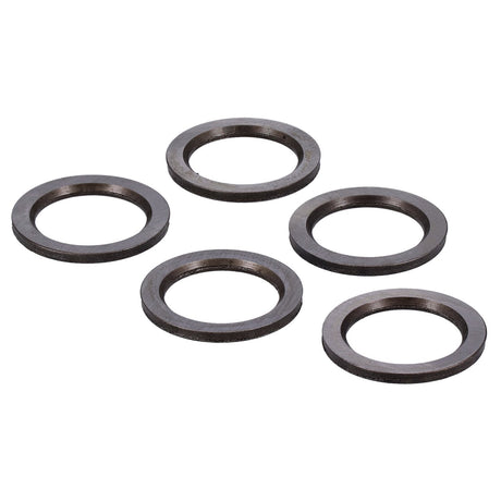 MCS drukring sprocket shaft lager – Twin Cam, Milwaukee-Eight & Sportster – foto 2