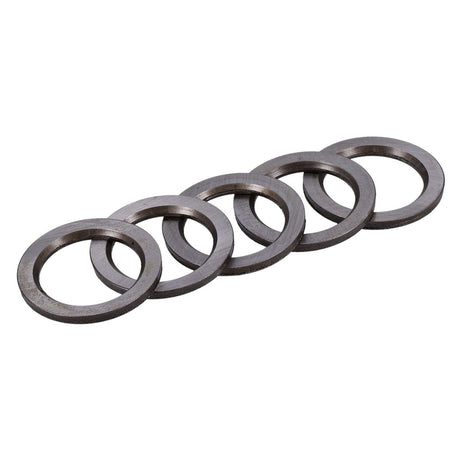 MCS drukring sprocket shaft lager – Twin Cam, Milwaukee-Eight & Sportster
