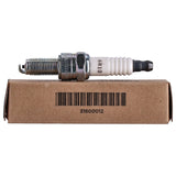 Bougie OEM 6R10 (per stuk) – Milwaukee-Eight 2017-heden – foto 2